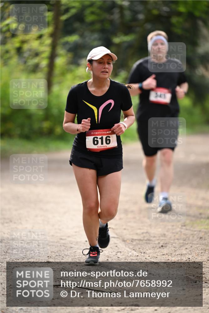 13.04.2025 - Hammer Lauf Dr. Thomas Lammeyer http://msf.ph/oto/7658992 13.04.2025 10:51:11 Laufen 15, 616, 345 meine-sportfotos.de