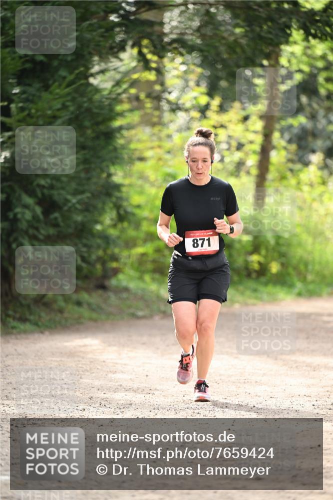 13.04.2025 - Hammer Lauf Dr. Thomas Lammeyer http://msf.ph/oto/7659424 13.04.2025 10:52:49 Laufen 15, 871 meine-sportfotos.de