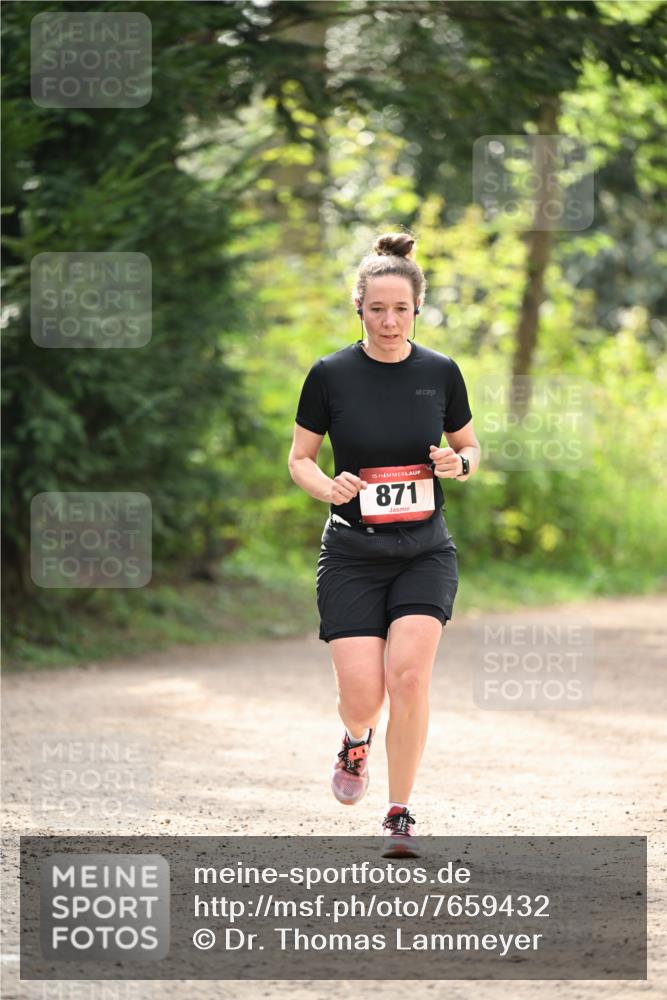 13.04.2025 - Hammer Lauf Dr. Thomas Lammeyer http://msf.ph/oto/7659432 13.04.2025 10:52:50 Laufen 15, 871 meine-sportfotos.de