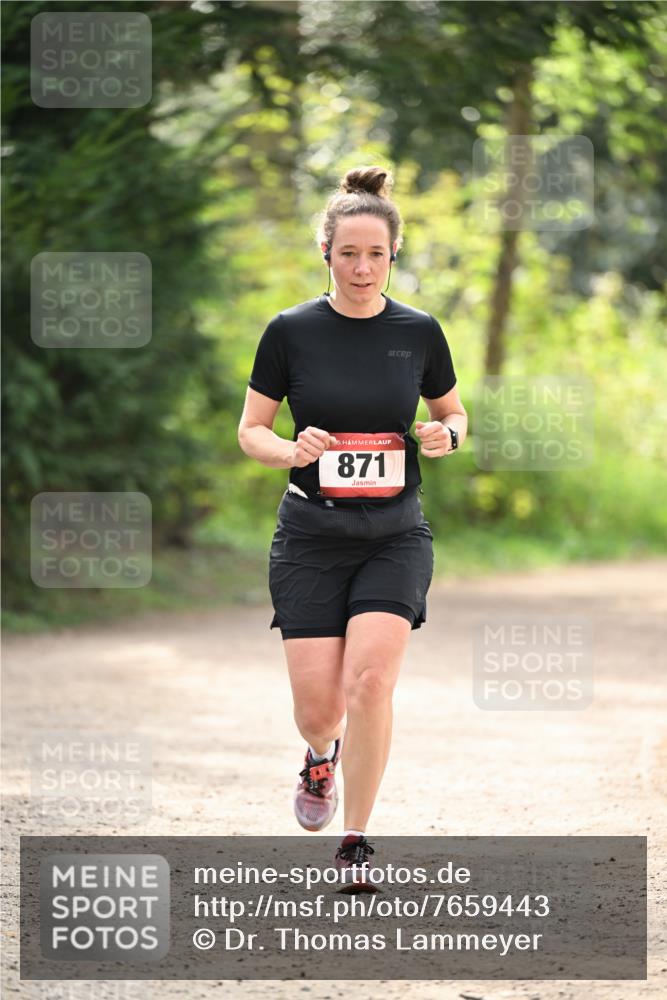 13.04.2025 - Hammer Lauf Dr. Thomas Lammeyer http://msf.ph/oto/7659443 13.04.2025 10:52:51 Laufen 5, 871 meine-sportfotos.de