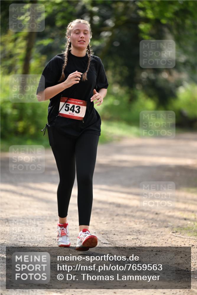 13.04.2025 - Hammer Lauf Dr. Thomas Lammeyer http://msf.ph/oto/7659563 13.04.2025 11:00:18 Laufen 15, 543 meine-sportfotos.de