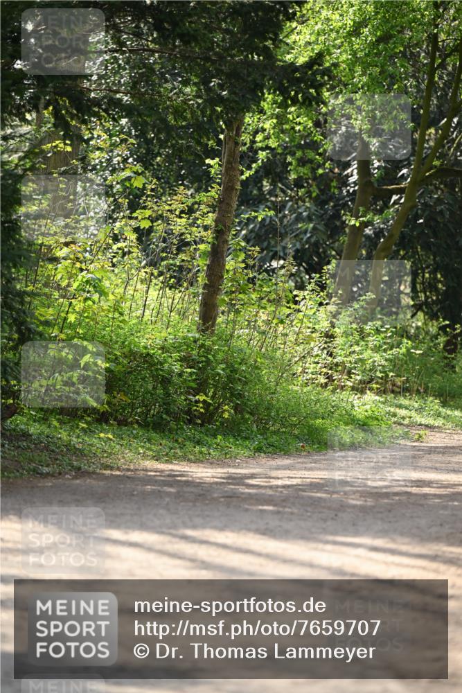 13.04.2025 - Hammer Lauf Dr. Thomas Lammeyer http://msf.ph/oto/7659707 13.04.2025 11:01:34 Laufen  meine-sportfotos.de