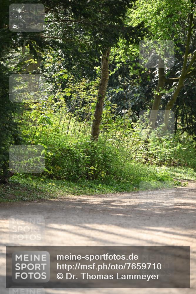 13.04.2025 - Hammer Lauf Dr. Thomas Lammeyer http://msf.ph/oto/7659710 13.04.2025 11:01:34 Laufen  meine-sportfotos.de