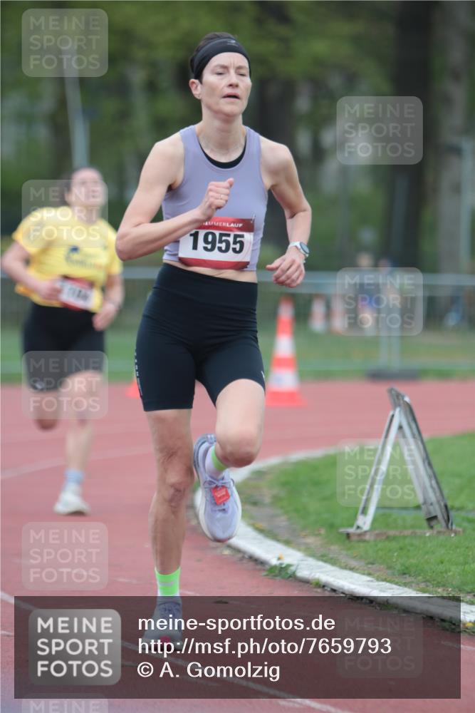 13.04.2025 - Hammer Lauf A. Gomolzig http://msf.ph/oto/7659793 13.04.2025 10:29:39 Ziel 350, 1104, 1739, 1955 meine-sportfotos.de