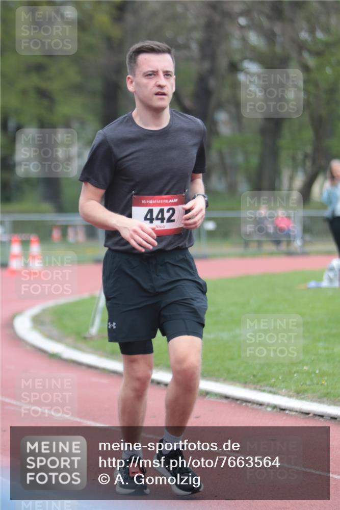 13.04.2025 - Hammer Lauf A. Gomolzig http://msf.ph/oto/7663564 13.04.2025 11:33:55 Ziel 252, 442, 482 meine-sportfotos.de