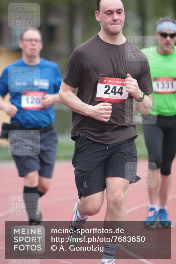 13.04.2025 - Hammer Lauf A. Gomolzig http://msf.ph/oto/7663650 13.04.2025 11:34:48 Ziel 244, 762, 1208, 1331 meine-sportfotos.de