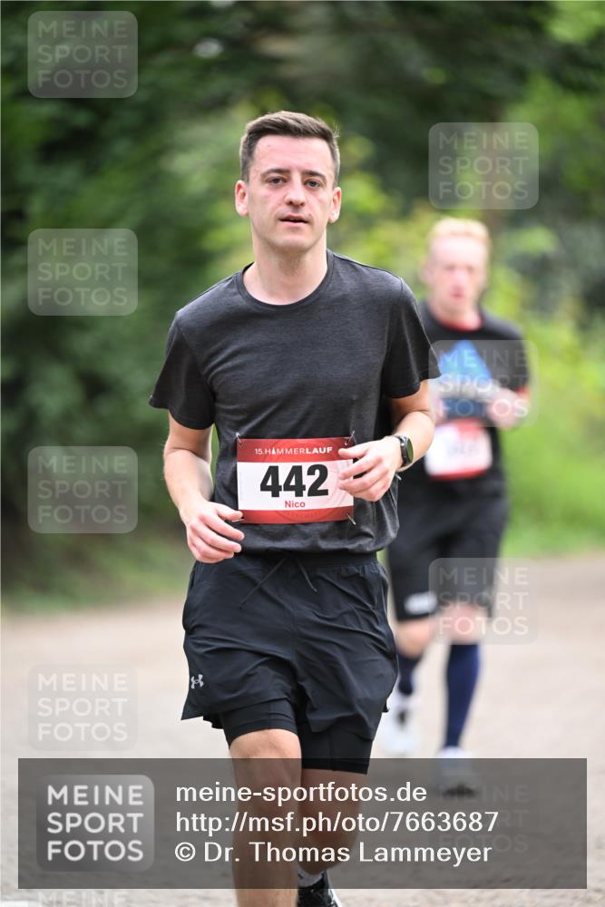 13.04.2025 - Hammer Lauf Dr. Thomas Lammeyer http://msf.ph/oto/7663687 13.04.2025 11:32:19 Laufen 15, 442 meine-sportfotos.de