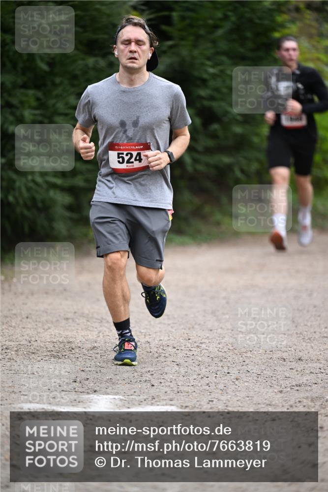 13.04.2025 - Hammer Lauf Dr. Thomas Lammeyer http://msf.ph/oto/7663819 13.04.2025 11:32:37 Laufen 15, 524 meine-sportfotos.de