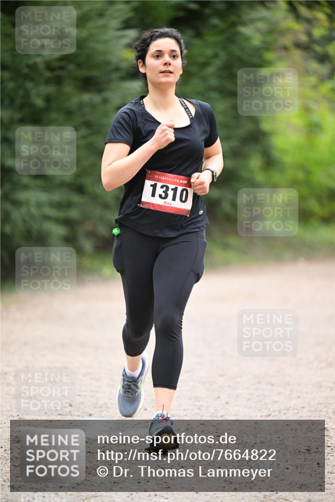 13.04.2025 - Hammer Lauf Dr. Thomas Lammeyer http://msf.ph/oto/7664822 13.04.2025 11:36:06 Laufen 15, 1310 meine-sportfotos.de