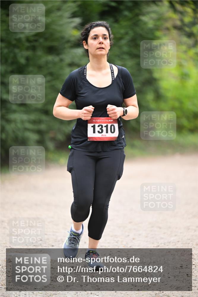 13.04.2025 - Hammer Lauf Dr. Thomas Lammeyer http://msf.ph/oto/7664824 13.04.2025 11:36:06 Laufen 15, 1310 meine-sportfotos.de