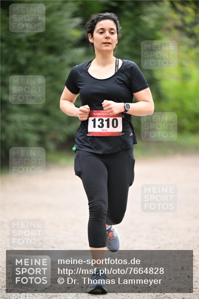 13.04.2025 - Hammer Lauf Dr. Thomas Lammeyer http://msf.ph/oto/7664828 13.04.2025 11:36:07 Laufen 15, 1310 meine-sportfotos.de