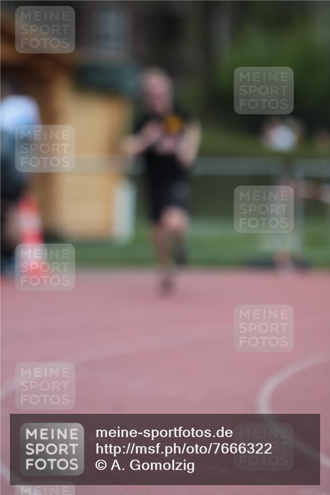 13.04.2025 - Hammer Lauf A. Gomolzig http://msf.ph/oto/7666322 13.04.2025 12:39:34 Ziel 8, 233, 1307 meine-sportfotos.de