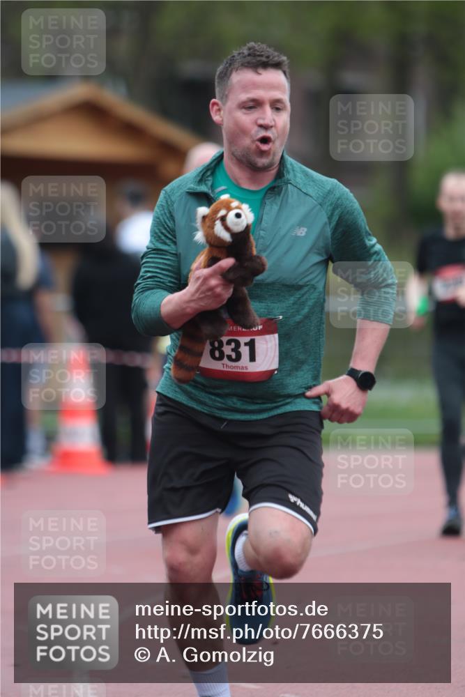 13.04.2025 - Hammer Lauf A. Gomolzig http://msf.ph/oto/7666375 13.04.2025 12:40:32 Ziel 236, 831, 832, 1897 meine-sportfotos.de