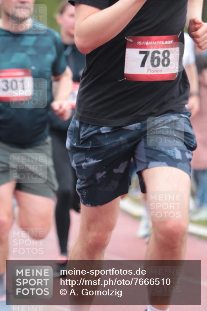 13.04.2025 - Hammer Lauf A. Gomolzig http://msf.ph/oto/7666510 13.04.2025 12:42:43 Ziel 188, 307, 528, 638, 875, 1301, 1354, 1791, 1804 meine-sportfotos.de