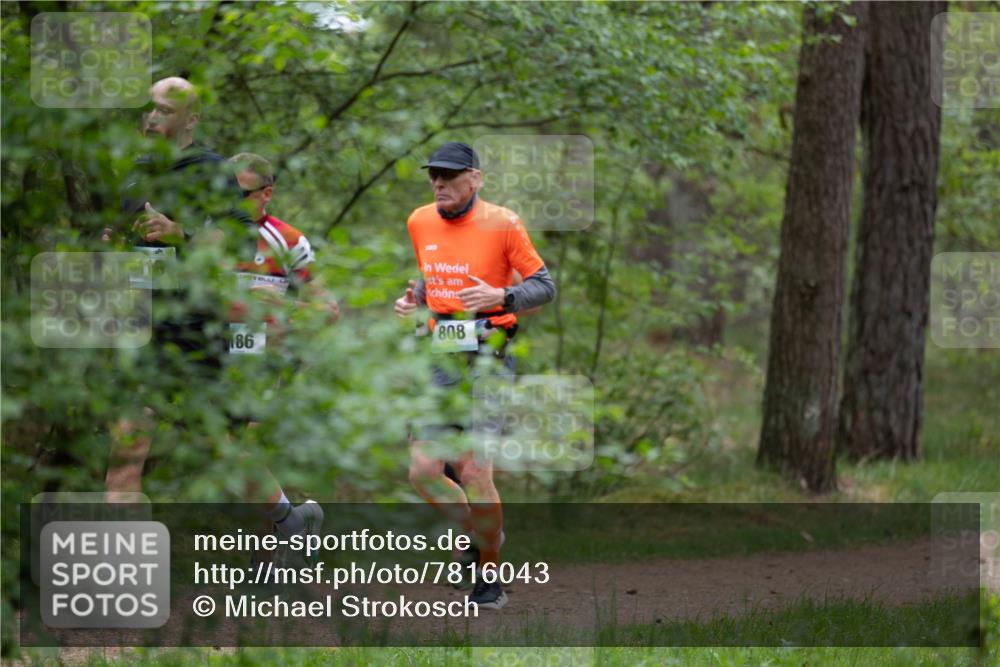 04.05.2025 - 8. Wedeler Halbmarathon Michael Strokosch http://msf.ph/oto/7816043 04.05.2025 10:37:45 Laufen 186, 808 meine-sportfotos.de