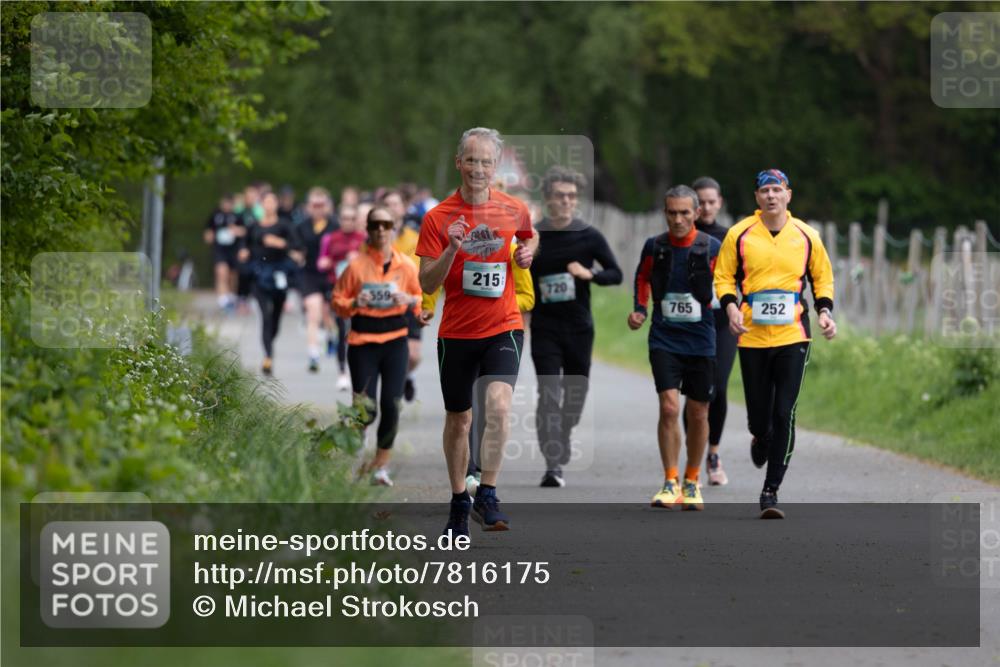 04.05.2025 - 8. Wedeler Halbmarathon Michael Strokosch http://msf.ph/oto/7816175 04.05.2025 10:48:40 Laufen 215, 720, 359, 765, 252 meine-sportfotos.de