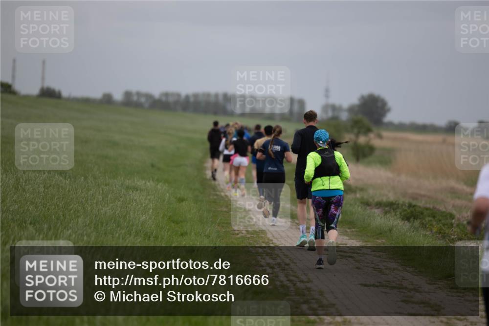 04.05.2025 - 8. Wedeler Halbmarathon Michael Strokosch http://msf.ph/oto/7816666 04.05.2025 11:30:33 Laufen  meine-sportfotos.de