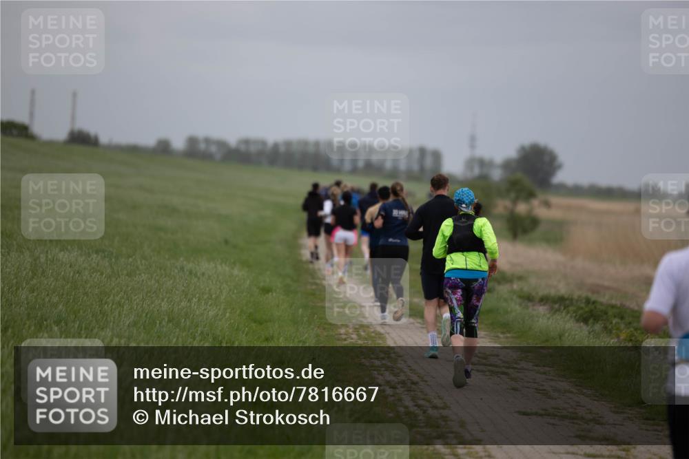 04.05.2025 - 8. Wedeler Halbmarathon Michael Strokosch http://msf.ph/oto/7816667 04.05.2025 11:30:34 Laufen  meine-sportfotos.de
