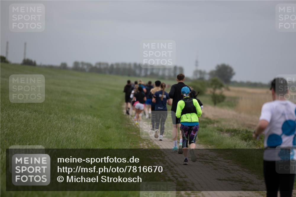 04.05.2025 - 8. Wedeler Halbmarathon Michael Strokosch http://msf.ph/oto/7816670 04.05.2025 11:30:34 Laufen  meine-sportfotos.de