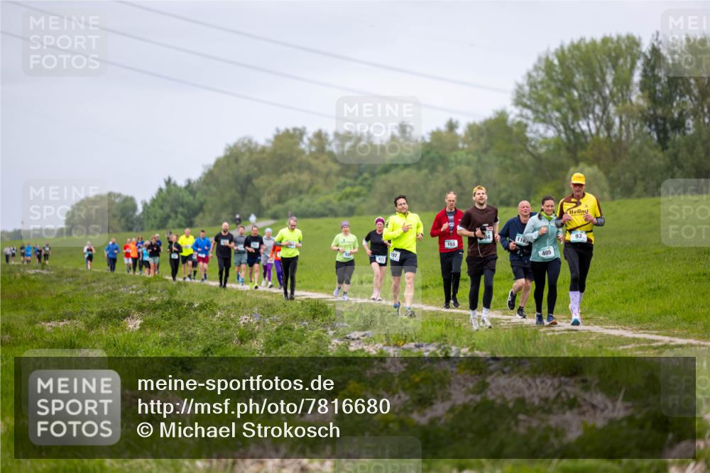 04.05.2025 - 8. Wedeler Halbmarathon Michael Strokosch http://msf.ph/oto/7816680 04.05.2025 11:31:28 Laufen 33 meine-sportfotos.de