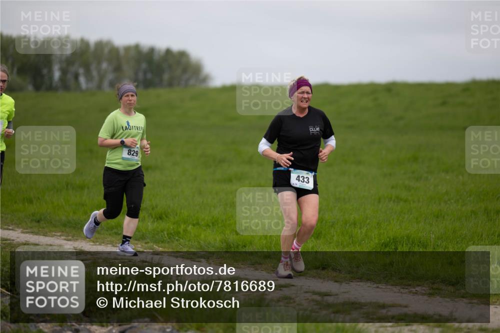 04.05.2025 - 8. Wedeler Halbmarathon Michael Strokosch http://msf.ph/oto/7816689 04.05.2025 11:31:50 Laufen 829, 433 meine-sportfotos.de
