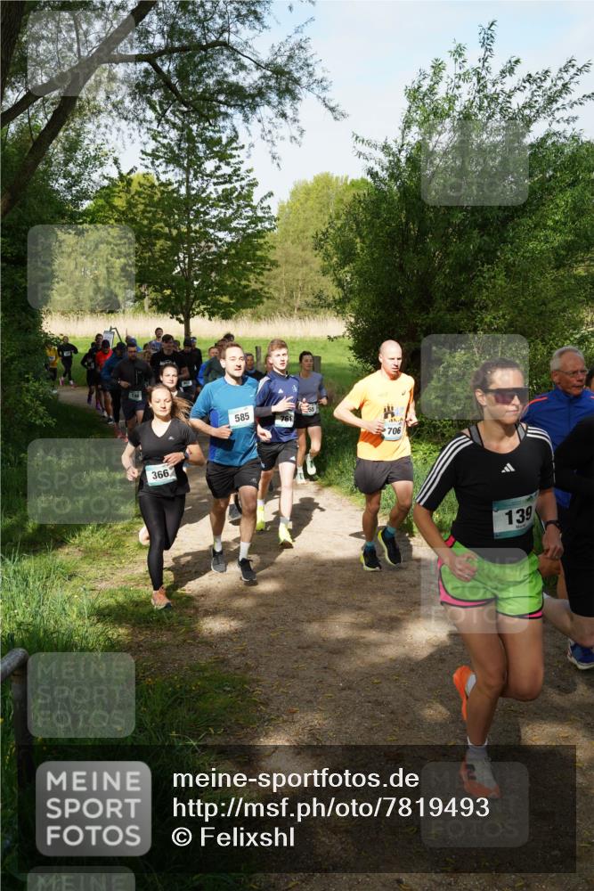 04.05.2025 - 8. Wedeler Halbmarathon Felixshl http://msf.ph/oto/7819493 04.05.2025 10:01:52 Laufen 366, 585, 706, 139 meine-sportfotos.de