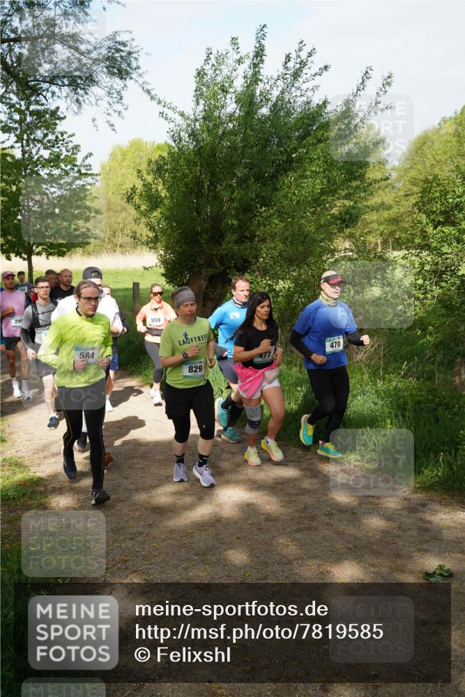 04.05.2025 - 8. Wedeler Halbmarathon Felixshl http://msf.ph/oto/7819585 04.05.2025 10:02:21 Laufen 290, 584, 559, 829, 470 meine-sportfotos.de