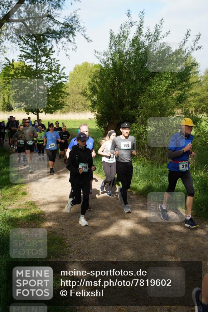 04.05.2025 - 8. Wedeler Halbmarathon Felixshl http://msf.ph/oto/7819602 04.05.2025 10:02:26 Laufen 849, 849, 629, 605, 291, 168, 216 meine-sportfotos.de