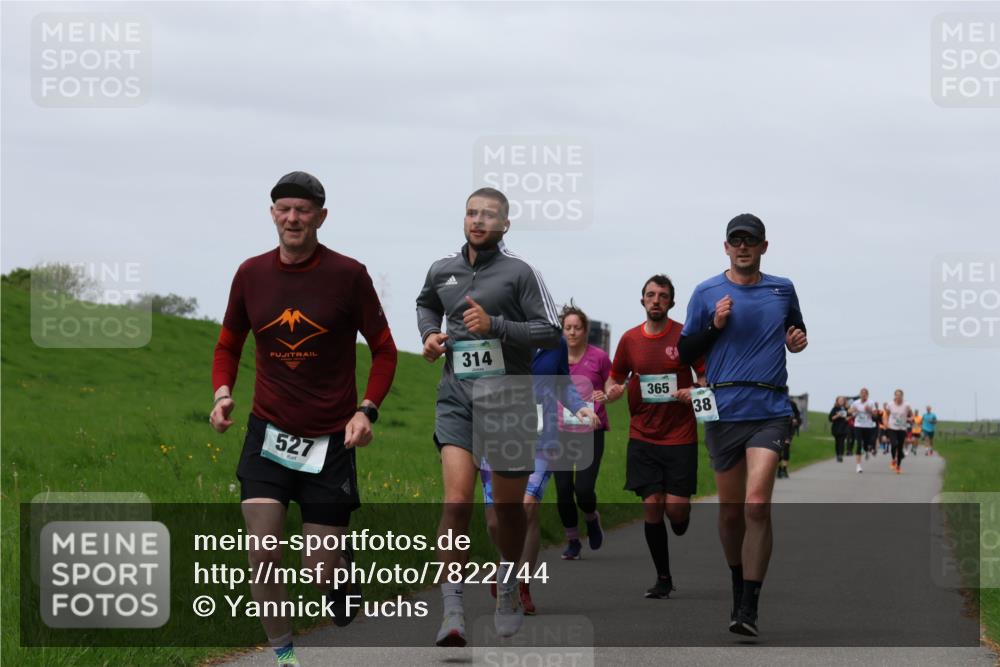 04.05.2025 - 8. Wedeler Halbmarathon Yannick Fuchs http://msf.ph/oto/7822744 04.05.2025 11:29:50 Laufen 527, 314, 365, 38, 8 meine-sportfotos.de