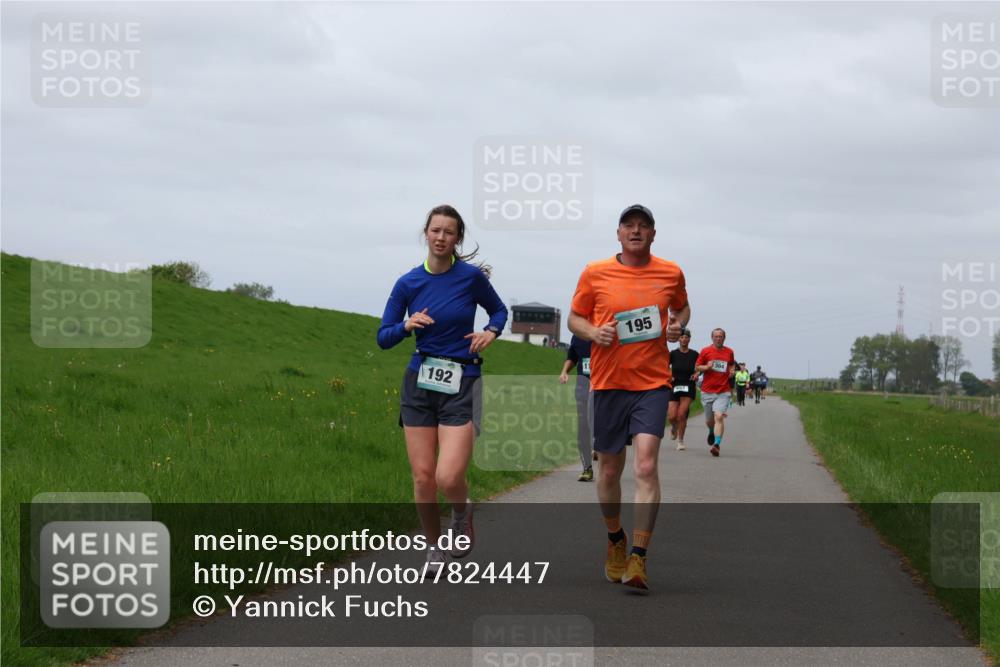 04.05.2025 - 8. Wedeler Halbmarathon Yannick Fuchs http://msf.ph/oto/7824447 04.05.2025 11:53:36 Laufen 192, 195, 304 meine-sportfotos.de
