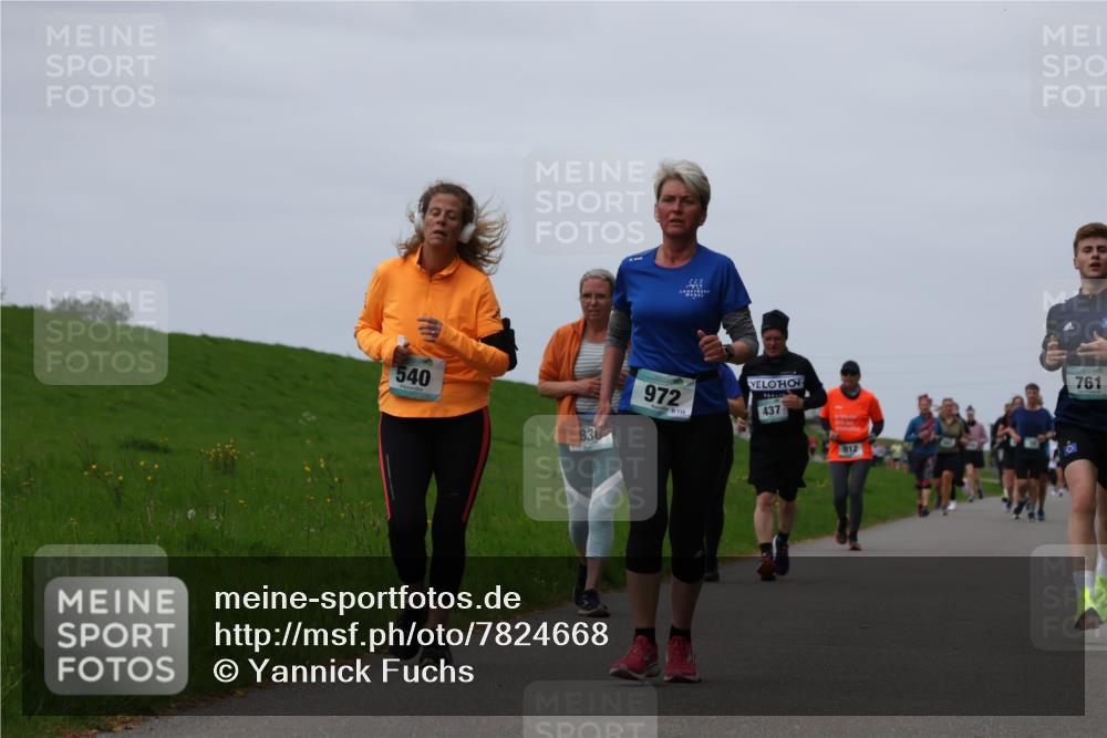 04.05.2025 - 8. Wedeler Halbmarathon Yannick Fuchs http://msf.ph/oto/7824668 04.05.2025 11:31:47 Laufen 540, 830, 972, 437, 912, 761 meine-sportfotos.de