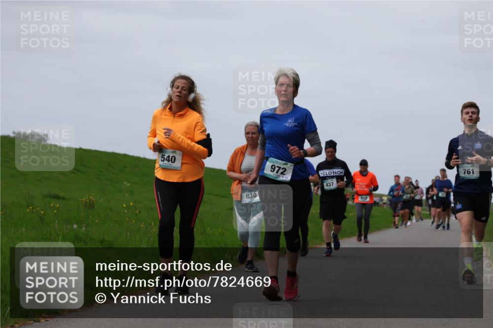 04.05.2025 - 8. Wedeler Halbmarathon Yannick Fuchs http://msf.ph/oto/7824669 04.05.2025 11:31:47 Laufen 540, 830, 972, 437, 912, 761 meine-sportfotos.de