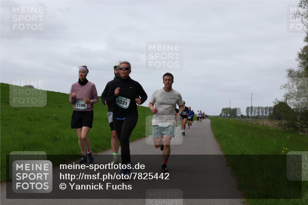 04.05.2025 - 8. Wedeler Halbmarathon Yannick Fuchs http://msf.ph/oto/7825442 04.05.2025 11:32:22 Laufen 1031, 1186 meine-sportfotos.de