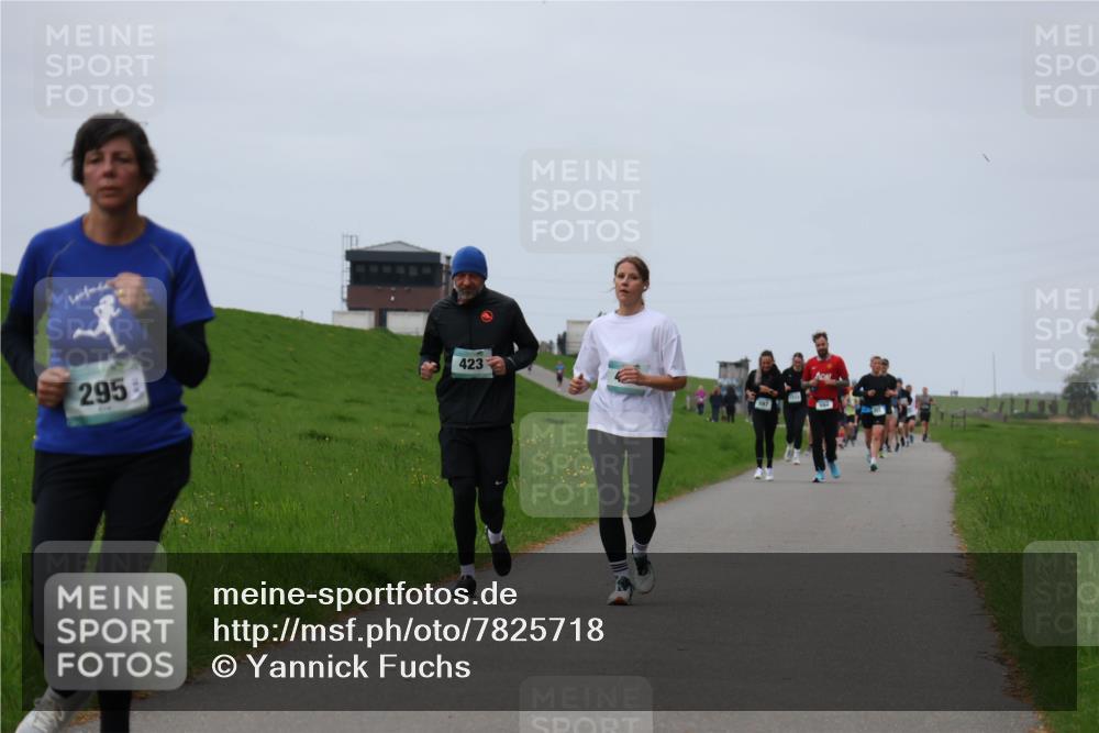 04.05.2025 - 8. Wedeler Halbmarathon Yannick Fuchs http://msf.ph/oto/7825718 04.05.2025 11:32:38 Laufen 295, 423 meine-sportfotos.de