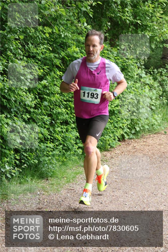 04.05.2025 - 8. Wedeler Halbmarathon Lena Gebhardt http://msf.ph/oto/7830605 04.05.2025 11:14:55 Laufen 1193 meine-sportfotos.de