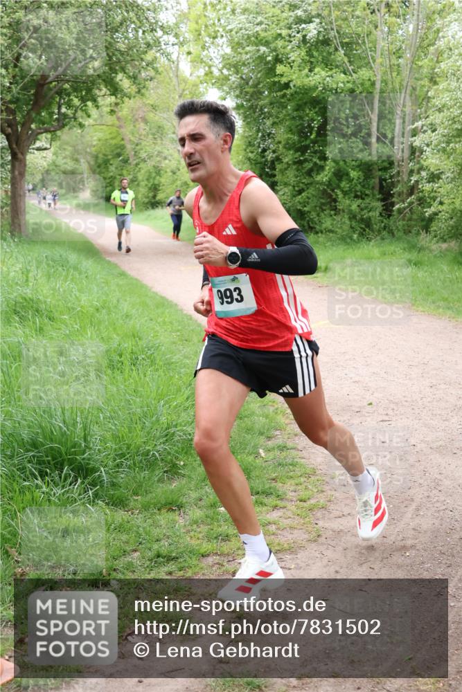 04.05.2025 - 8. Wedeler Halbmarathon Lena Gebhardt http://msf.ph/oto/7831502 04.05.2025 11:18:07 Laufen 93, 993 meine-sportfotos.de
