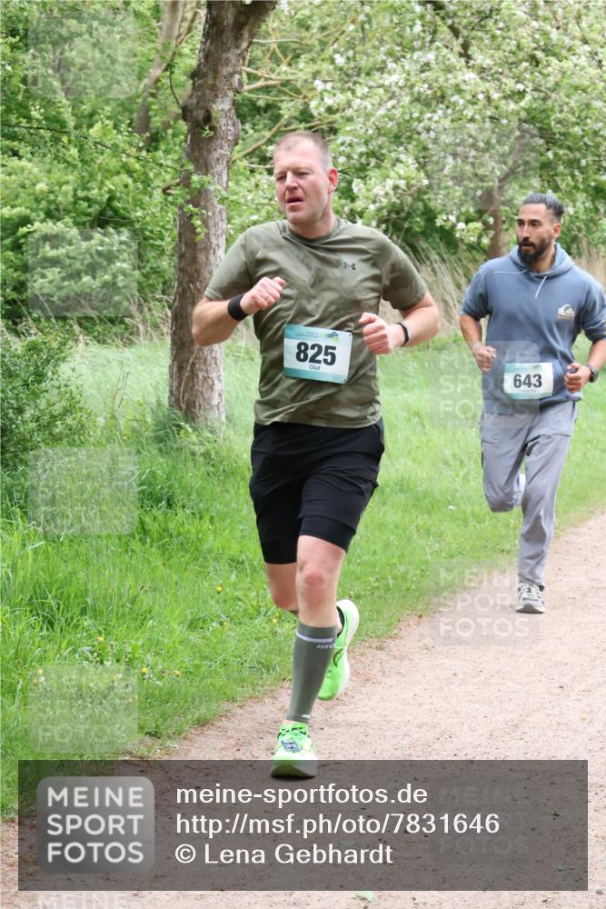 04.05.2025 - 8. Wedeler Halbmarathon Lena Gebhardt http://msf.ph/oto/7831646 04.05.2025 11:18:29 Laufen 825, 643 meine-sportfotos.de