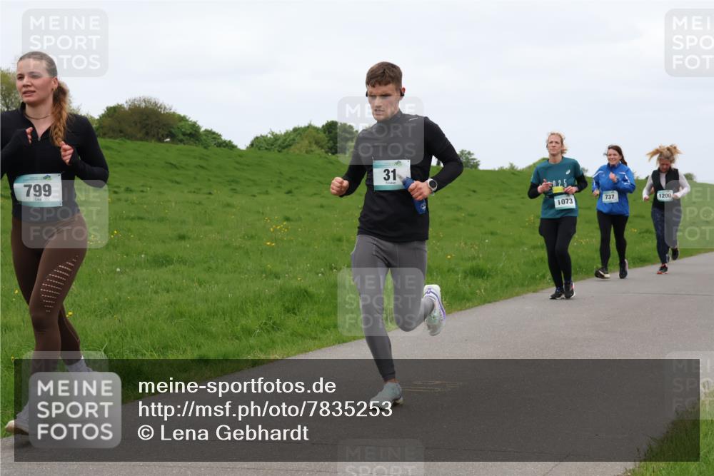 04.05.2025 - 8. Wedeler Halbmarathon Lena Gebhardt http://msf.ph/oto/7835253 04.05.2025 11:27:02 Laufen 799, 31, 1073, 737, 1200 meine-sportfotos.de