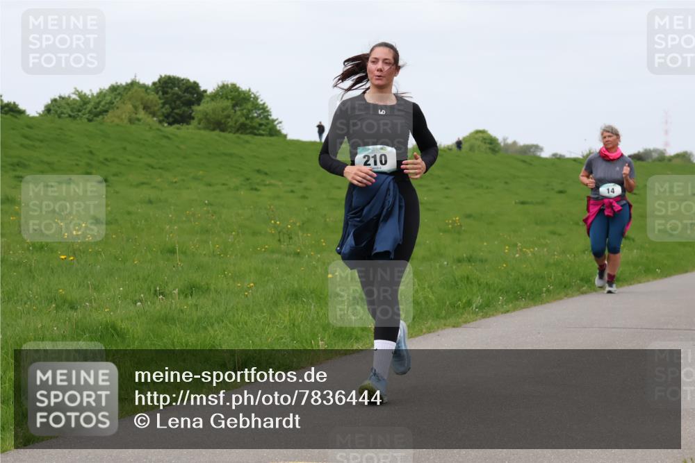 04.05.2025 - 8. Wedeler Halbmarathon Lena Gebhardt http://msf.ph/oto/7836444 04.05.2025 11:30:47 Laufen 210, 14 meine-sportfotos.de