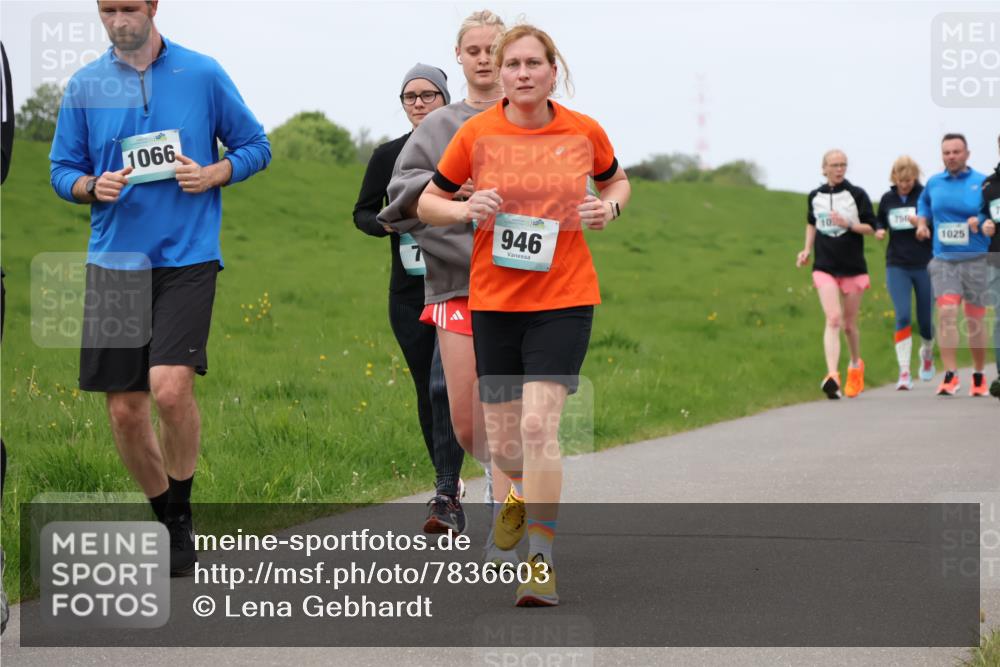 04.05.2025 - 8. Wedeler Halbmarathon Lena Gebhardt http://msf.ph/oto/7836603 04.05.2025 11:31:30 Laufen 1066, 946, 750, 10, 1025 meine-sportfotos.de