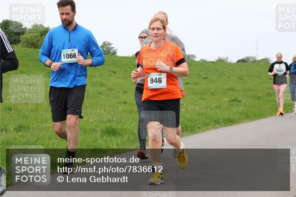 04.05.2025 - 8. Wedeler Halbmarathon Lena Gebhardt http://msf.ph/oto/7836612 04.05.2025 11:31:31 Laufen 1066, 946, 1026 meine-sportfotos.de