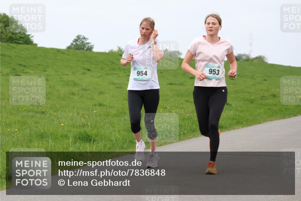 04.05.2025 - 8. Wedeler Halbmarathon Lena Gebhardt http://msf.ph/oto/7836848 04.05.2025 11:31:59 Laufen 954, 953 meine-sportfotos.de