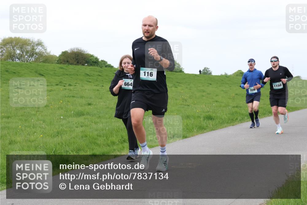 04.05.2025 - 8. Wedeler Halbmarathon Lena Gebhardt http://msf.ph/oto/7837134 04.05.2025 11:33:10 Laufen 664, 116, 209, 1150 meine-sportfotos.de