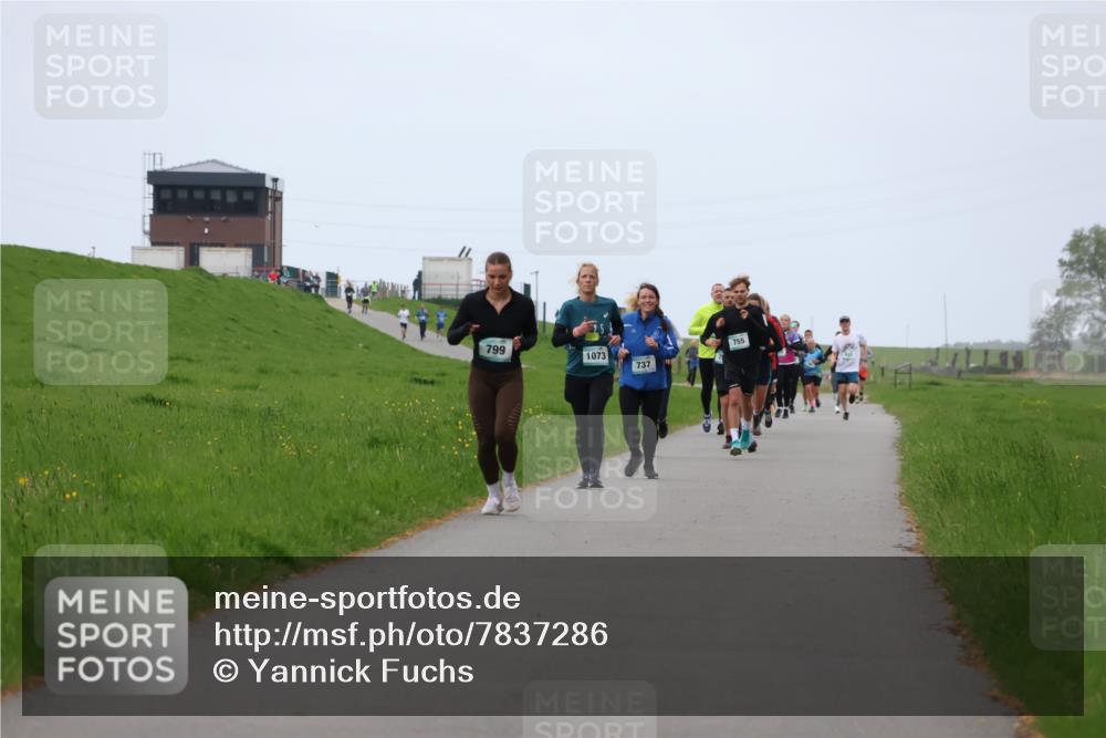 04.05.2025 - 8. Wedeler Halbmarathon Yannick Fuchs http://msf.ph/oto/7837286 04.05.2025 11:24:29 Laufen 799, 755, 1073, 737 meine-sportfotos.de