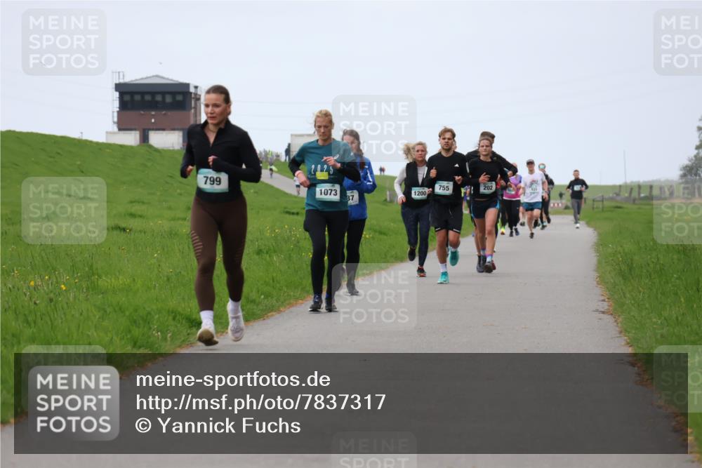 04.05.2025 - 8. Wedeler Halbmarathon Yannick Fuchs http://msf.ph/oto/7837317 04.05.2025 11:24:34 Laufen 799, 755, 202, 1073, 1200, 37 meine-sportfotos.de