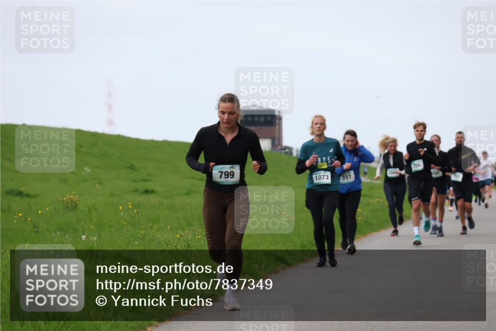 04.05.2025 - 8. Wedeler Halbmarathon Yannick Fuchs http://msf.ph/oto/7837349 04.05.2025 11:24:37 Laufen 799, 25, 1073, 755, 737, 120, 202 meine-sportfotos.de