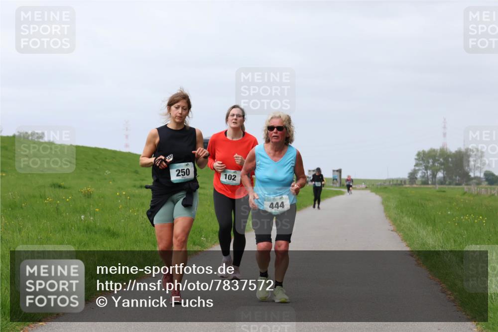 04.05.2025 - 8. Wedeler Halbmarathon Yannick Fuchs http://msf.ph/oto/7837572 04.05.2025 12:01:01 Laufen 250, 102, 444 meine-sportfotos.de