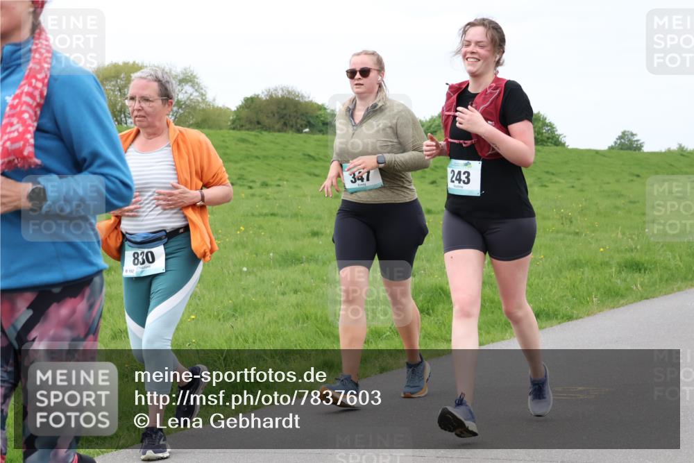04.05.2025 - 8. Wedeler Halbmarathon Lena Gebhardt http://msf.ph/oto/7837603 04.05.2025 11:34:48 Laufen 102, 830, 347, 243 meine-sportfotos.de
