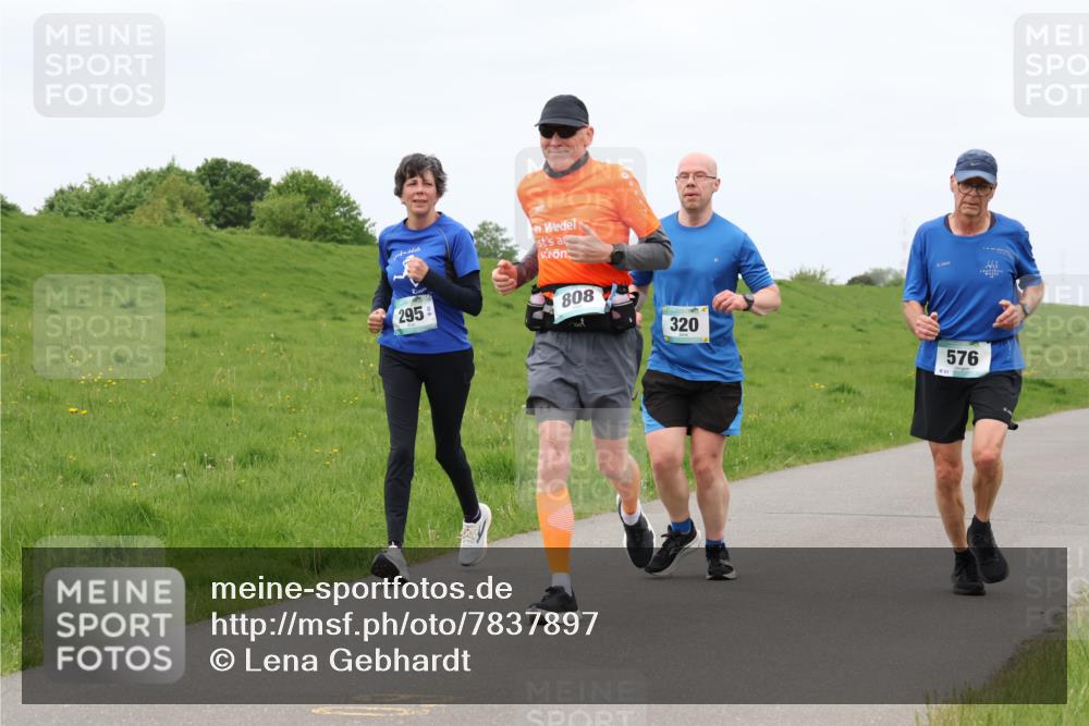04.05.2025 - 8. Wedeler Halbmarathon Lena Gebhardt http://msf.ph/oto/7837897 04.05.2025 11:35:46 Laufen 295, 808, 320, 576 meine-sportfotos.de