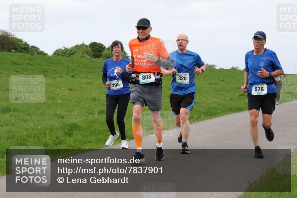 04.05.2025 - 8. Wedeler Halbmarathon Lena Gebhardt http://msf.ph/oto/7837901 04.05.2025 11:35:47 Laufen 295, 808, 320, 851, 576 meine-sportfotos.de